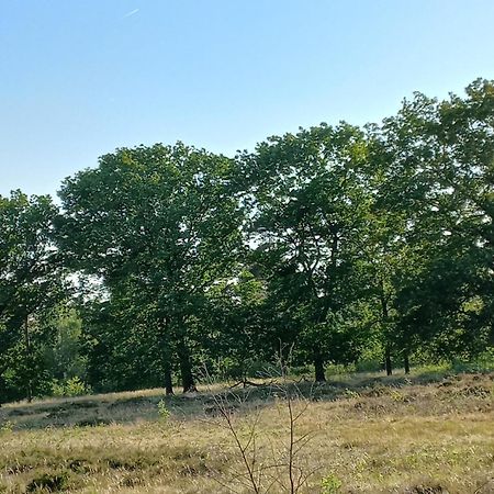 Vogelzang Hattemerbroek Quarto foto